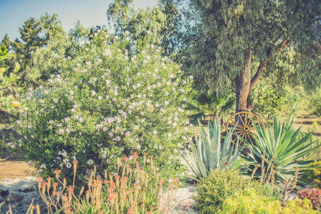 Finca El Limonar Alora Dış mekan fotoğraf