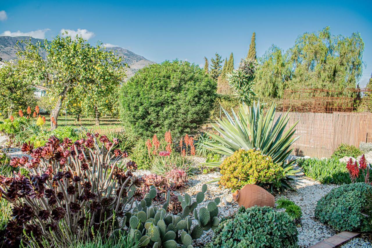 Finca El Limonar Alora Dış mekan fotoğraf