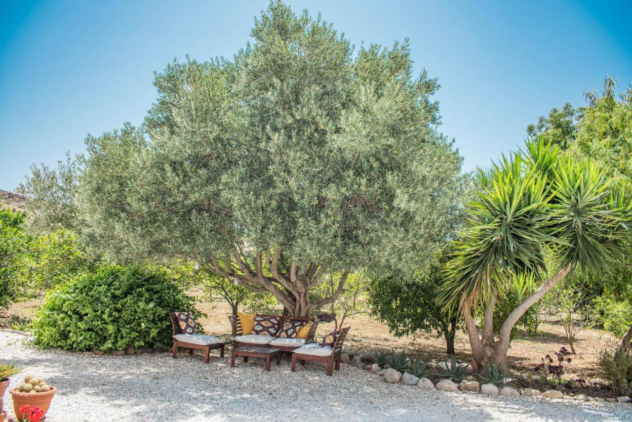 Finca El Limonar Alora Dış mekan fotoğraf