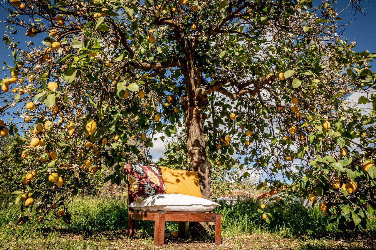 Finca El Limonar Alora Dış mekan fotoğraf