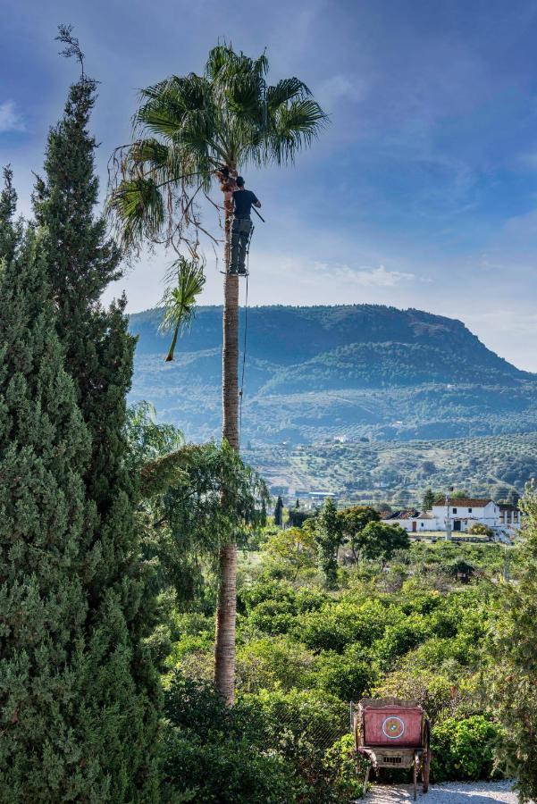 Finca El Limonar Alora Dış mekan fotoğraf