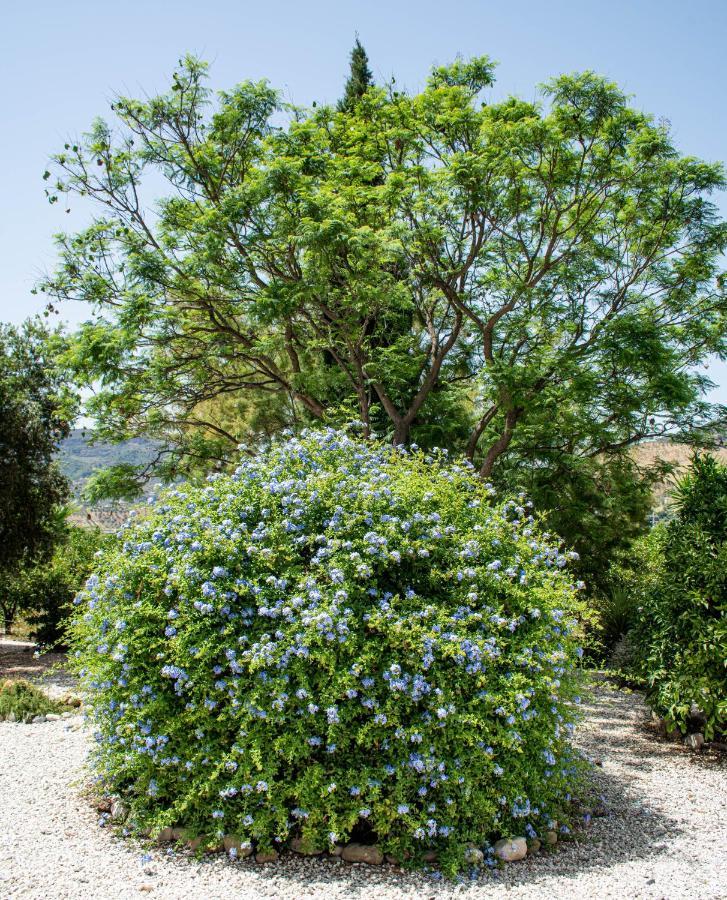 Finca El Limonar Alora Dış mekan fotoğraf