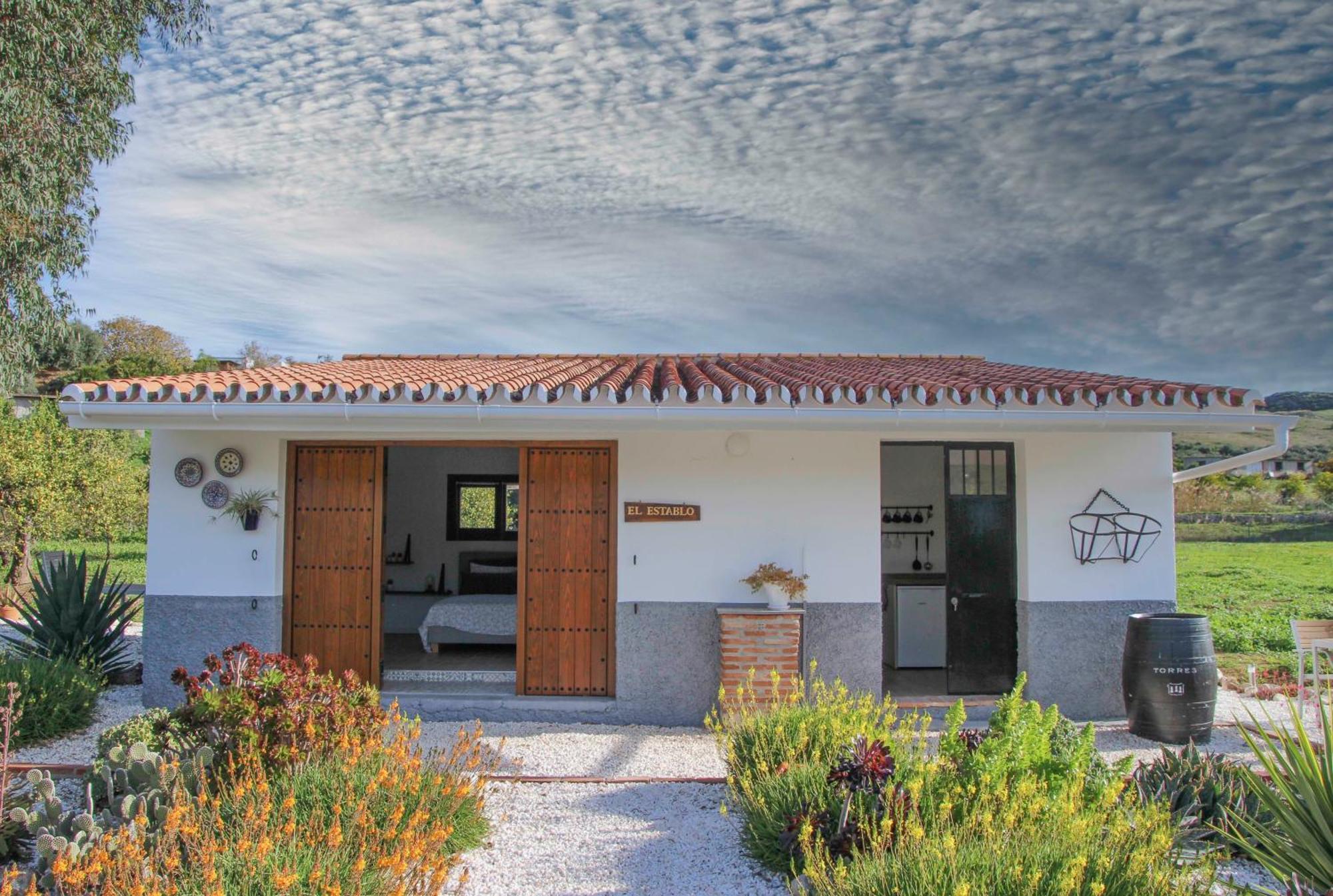 Finca El Limonar Alora Oda fotoğraf